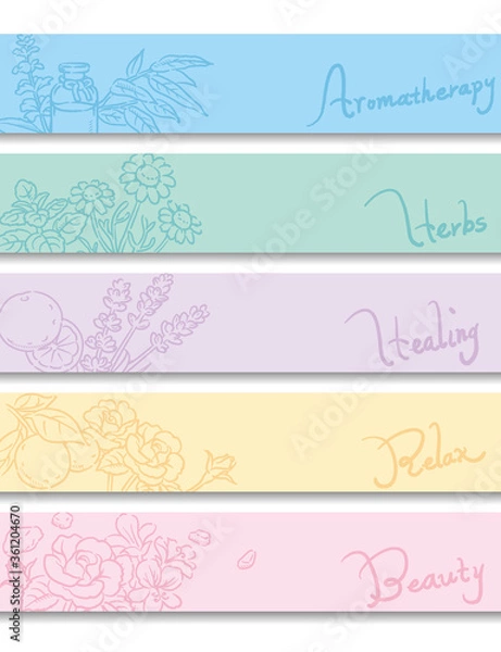 Fototapeta バナー, 背景などに使えるアロマオイル・ハーブのスケッチイラスト。ベクター画像