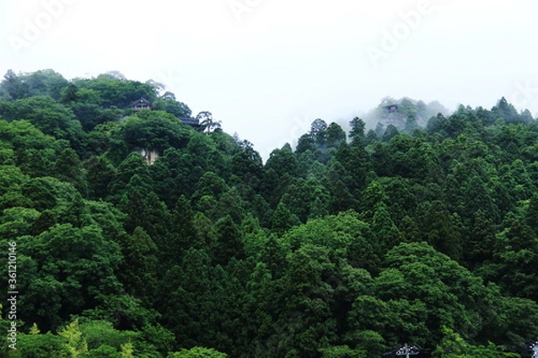 Fototapeta 山形の梅雨　雨の山寺（立石寺）山寺駅から五大堂を仰ぎ見る