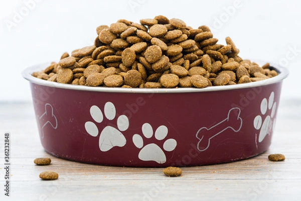 Obraz Dry dog and cat food in scratched red bowl.  Pile of kibblses.