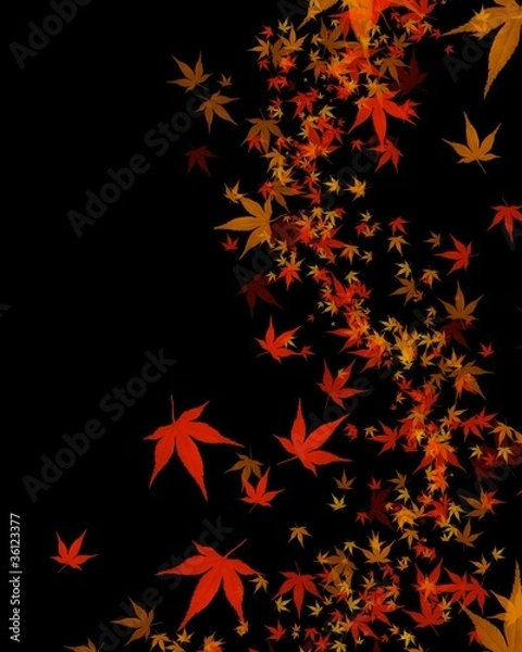 Fototapeta 秋の葉の背景