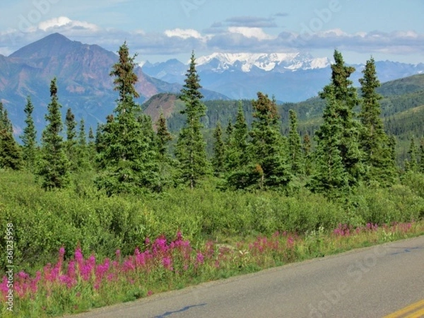 Obraz mountain road in the mountains