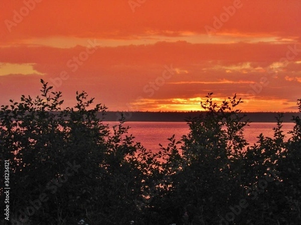 Obraz Orange sunset in trees