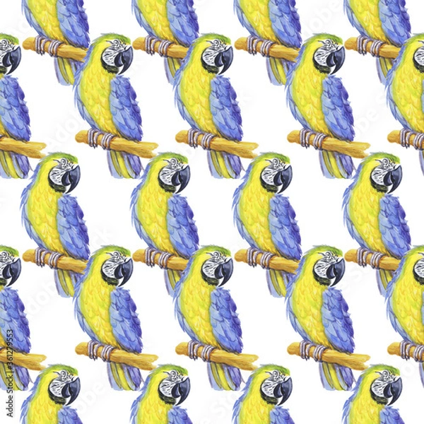 Obraz tropical parrot watercolor silhouette tropical bird isolate object white background