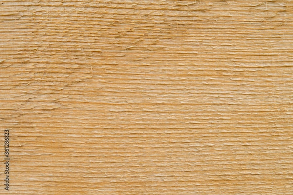 Obraz Planche de bois brut.