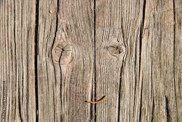 Obraz Planche de bois usée par le temps, fait un sourire, grâce à une aiguille d'épicéa.