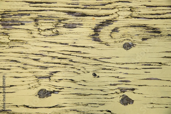 Obraz Planche de bois bien texturée.