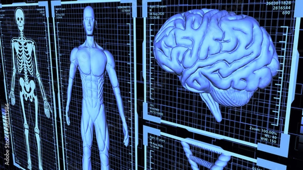 Obraz 8K 3D Rendered HUD Muscular anatomical man Body, Brain, and DNA including Skeleton in body analysis concept background ver.3
