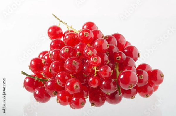 Obraz Johannisbeeren, Red currant, Ribes