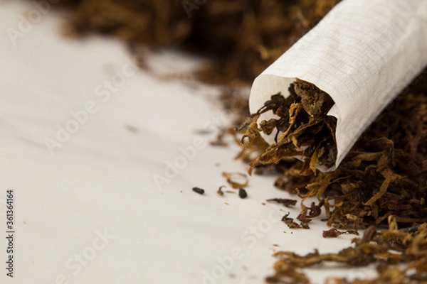 Fototapeta macro photo of hand rolled tobacco in its leaves. there is space in the photo for text.	