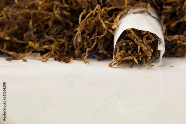 Fototapeta macro photo of hand rolled tobacco in its leaves. there is space in the photo for text.	