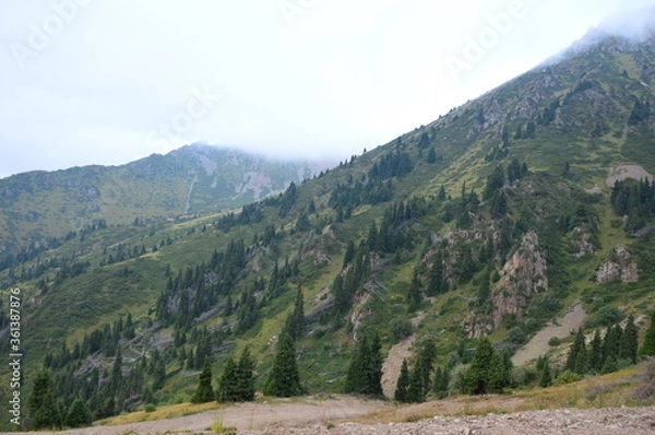 Obraz mountain road in the alps