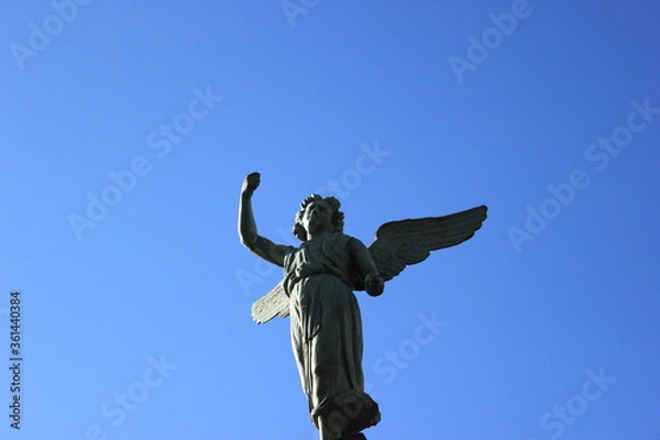 Fototapeta angel statue 