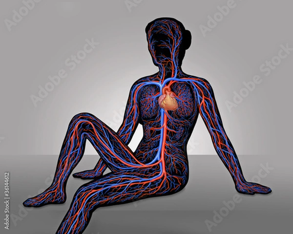 Obraz Frau mit Blutgefäßen