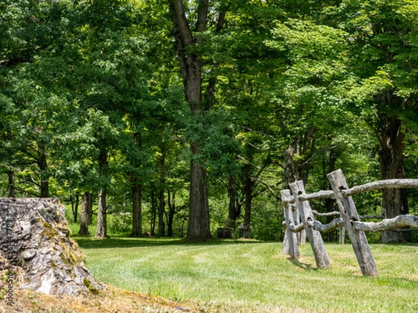 Obraz Tree stump and wooden fence in front of a wooded tree line with a green field of grass in Lauren Hill State Park in Pennsylvania in the Laurel Highlands, beauty in nature and landscapes.