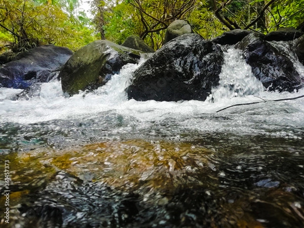 Obraz river in the forest