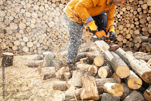 Obraz Chainsaw in action cutting wood. Man cutting wood with saw, dust and movements. Chainsaw. Close-up of woodcutter sawing chain saw in motion, sawdust fly to sides.