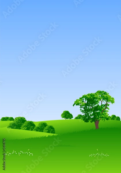 Obraz Summer landscape