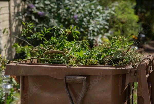 Fototapeta recycling garden waste 