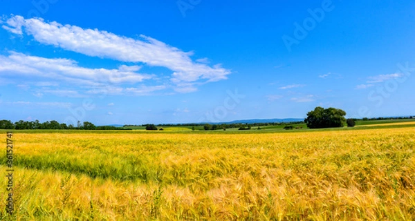 Obraz Nidderau im hessischen Main-Kinzig-Kreis