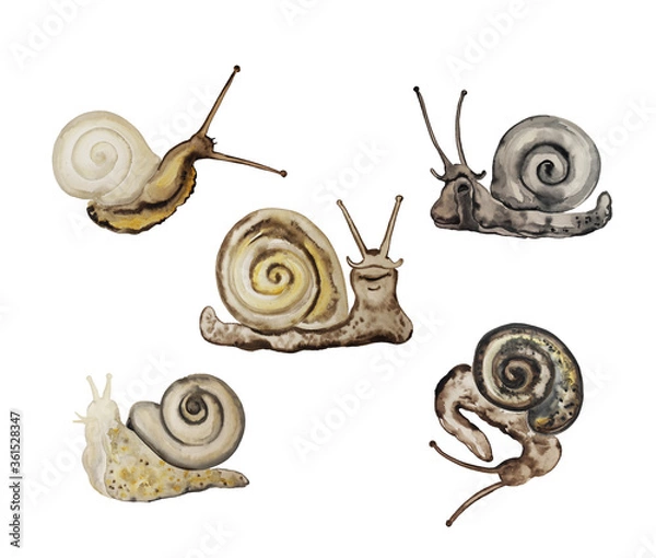 Obraz Happy garden snails smile. Watercolor sketches of snails isolated on a white background.