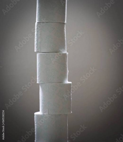 Obraz Toilet Paper