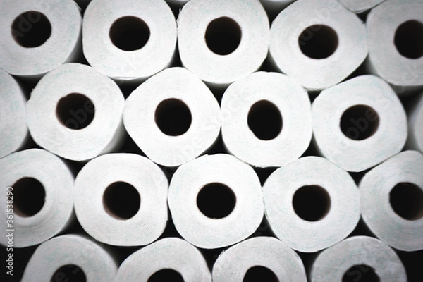 Obraz Toilet Paper