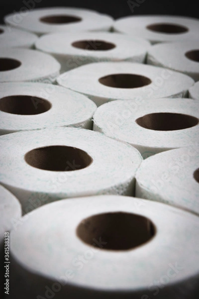 Obraz Toilet Paper