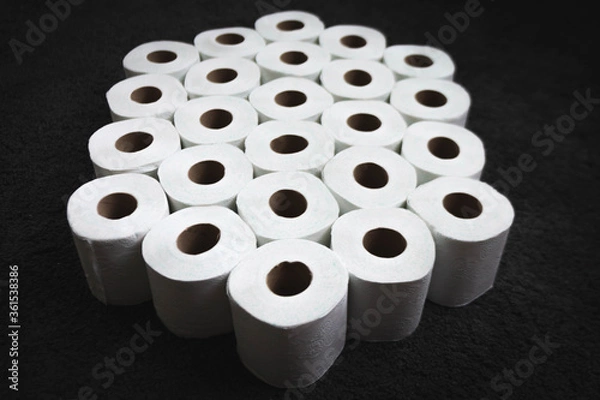Obraz Toilet Paper
