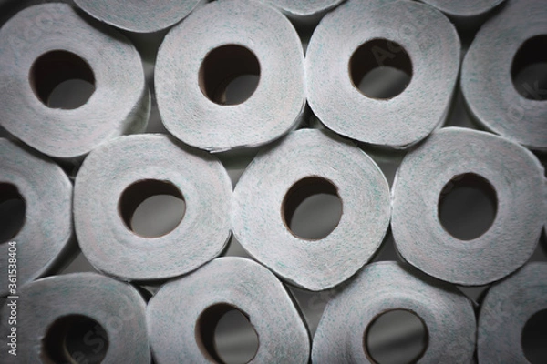 Obraz Toilet Paper