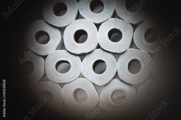Obraz Toilet Paper
