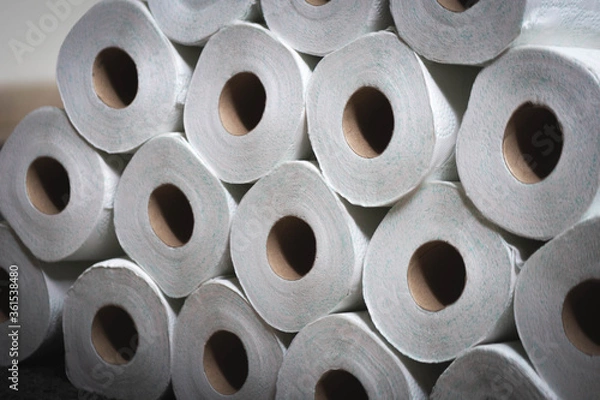 Obraz Toilet Paper