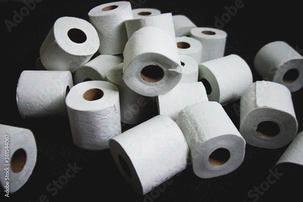 Obraz Toilet Paper