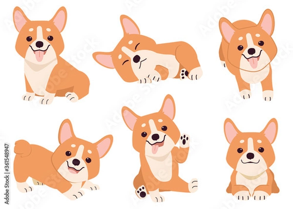 Fototapeta The collection of corgi in many action. Graphic resource about set of dogs corgi for graphic, content, etc. 