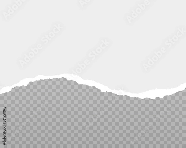 Fototapeta Torn ripped paper 