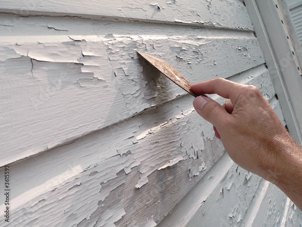 Obraz Scraping by hand