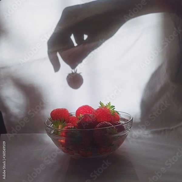 Obraz strawberry in a hand