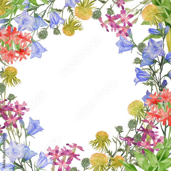 Fototapeta Square frame with bluebells and wild flowers. Floral watercolor illustration.