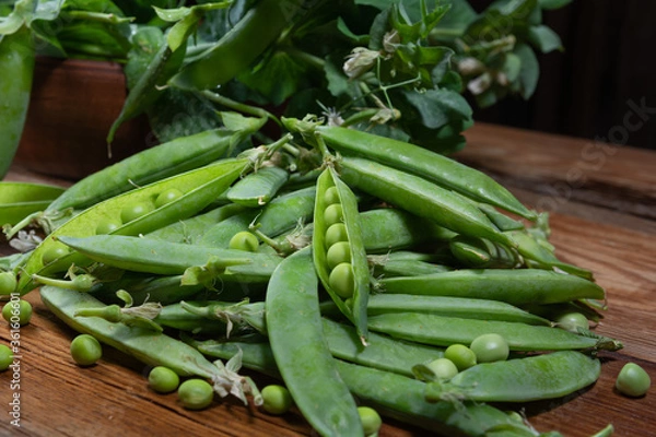 Fototapeta a branch of green peas with pods on a wooden table close-up, harvest from the garden