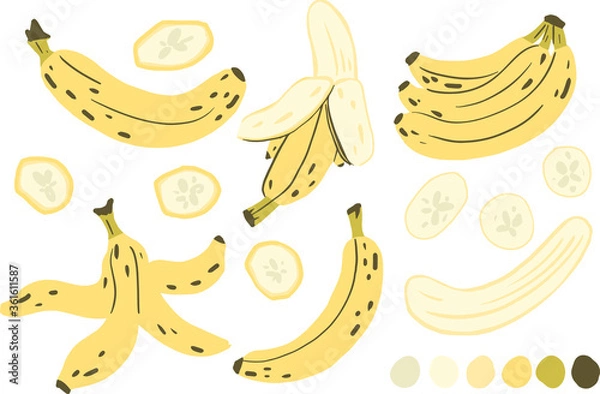 Fototapeta Banana, banana slice, peeled banana, banana peel vector clipart set hand drawn childish flat style isolated on white background.