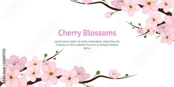 Fototapeta Realistic 3d Detailed Blooming Cherry Blossom Card. Vector