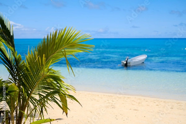 Obraz tropical beach with palm trees