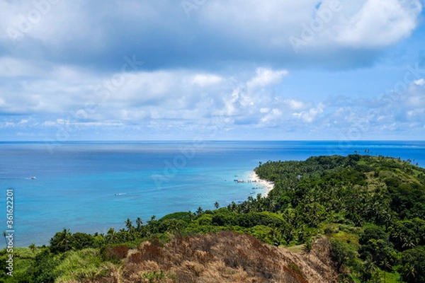Obraz tropical beach with palm trees