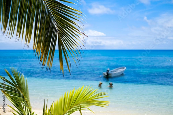 Obraz tropical beach with palm trees
