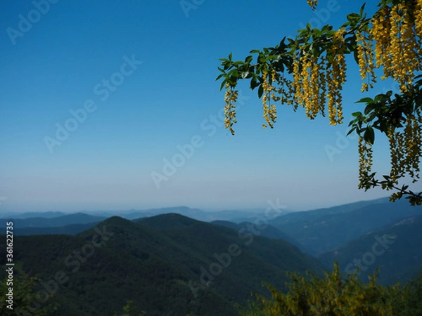 Obraz Ladscape over a mountain track