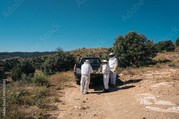 Fototapeta Beekeepers preparing material to go collect honey from the honeycombs 