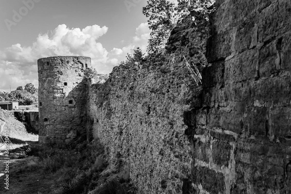 Obraz The wall and the tower of the medieval fortress Koporye
