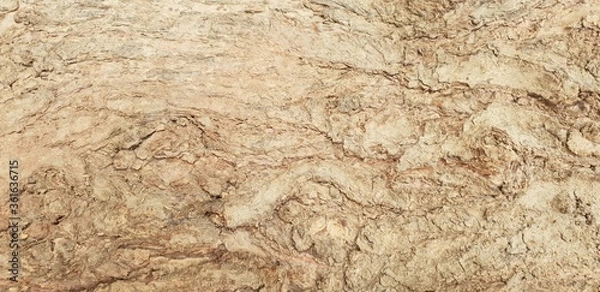 Fototapeta wood texture