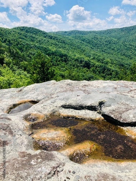 Obraz river in mountains