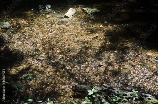 Obraz Stream in the mountains