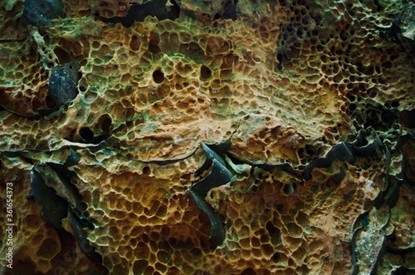 Obraz porous rock